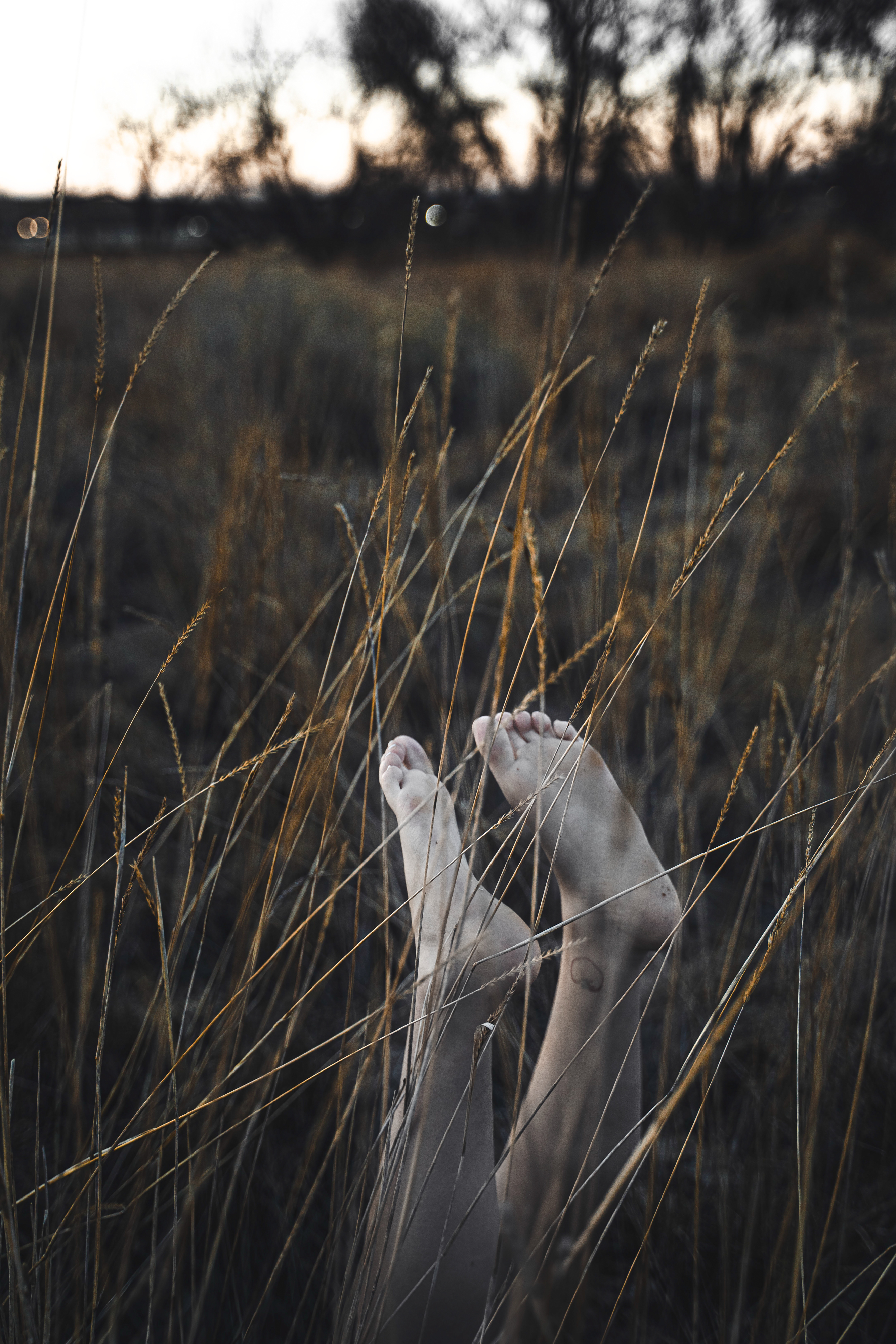 Featured Photography Work by Tessa Brancato
